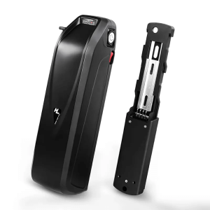 Baterai ebike skuter listrik Hailong 48V 15Ah