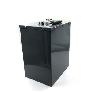 Baterai LiFePO4 48v 40ah untuk Golf Cart, Raiding Lawn, Snowmobile