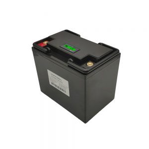 Suhu Rendah 48V 200AH Dengan Fungsi Pemanasan Sendiri